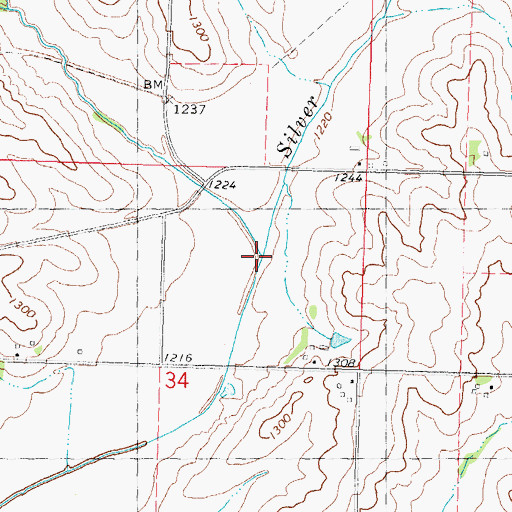 Topographic Map of Little Silver Creek, IA