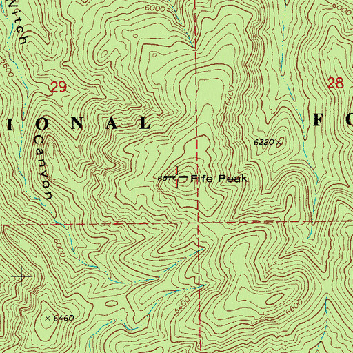 Topographic Map of Fife Peak, AZ