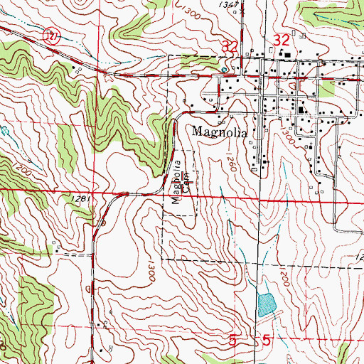 Topographic Map of Magnolia Cemetery, IA