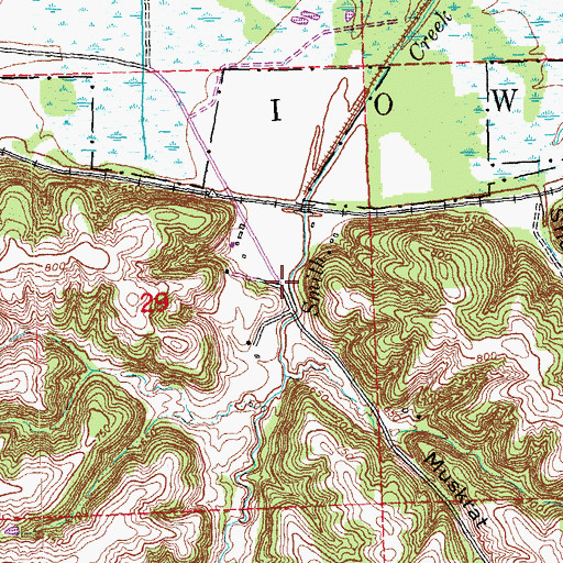 Topographic Map of Muskrat Hollow, IA