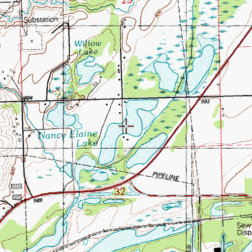 Topographic Map of Nancy Elaine Lake, IA