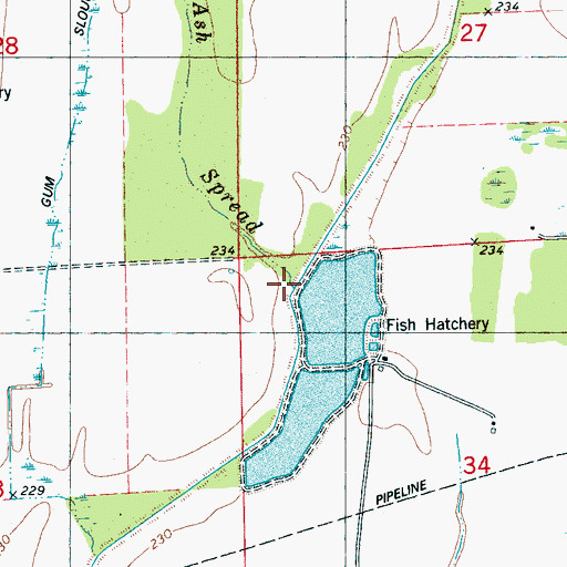 Topographic Map of Ash Spread, AR
