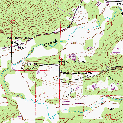 Topographic Map of Aunt Dilly Cemetery, AR