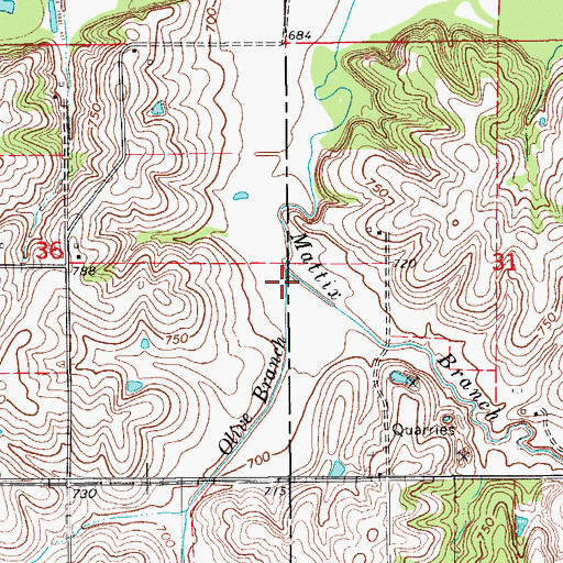 Topographic Map of Olive Branch, IA