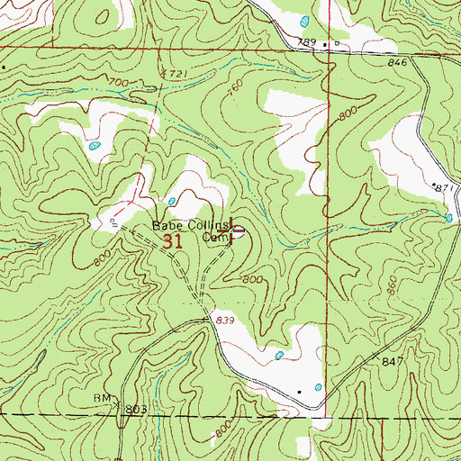 Topographic Map of Babe Collins Cemetery, AR