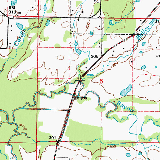 Topographic Map of Bailey Branch, AR