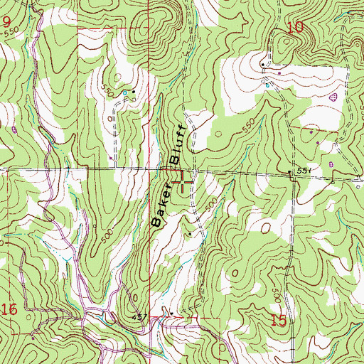 Topographic Map of Baker Bluff, AR