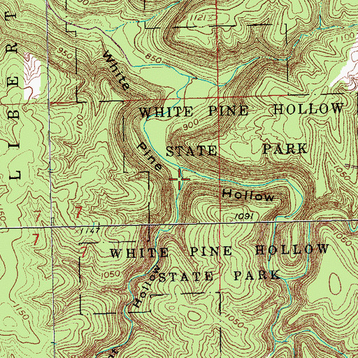 Topographic Map of Point Hollow, IA