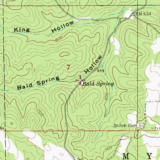 Topographic Map of Bald Spring, AR