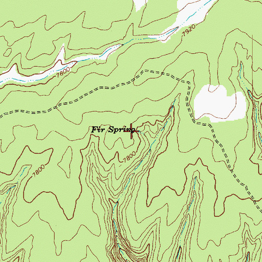 Topographic Map of Fir Spring, AZ