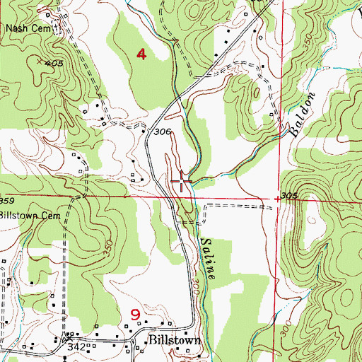 Topographic Map of Baldon Branch, AR