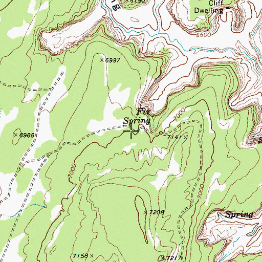Topographic Map of Fir Spring, AZ