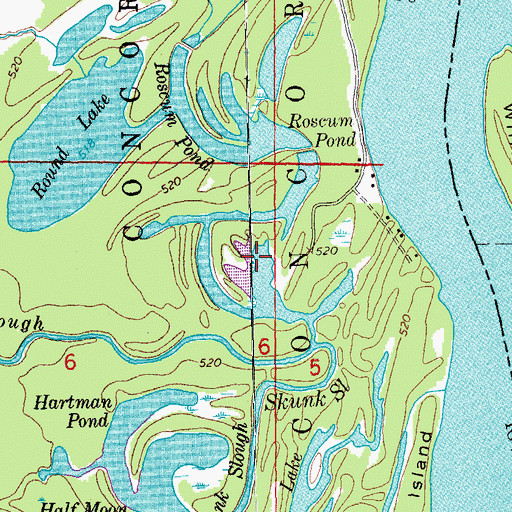 Topographic Map of Roscum Pond, IA