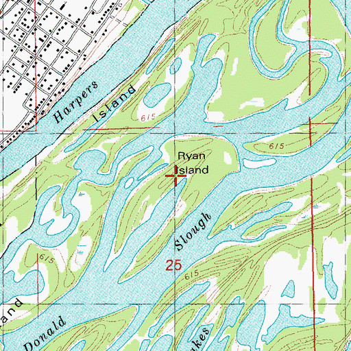 Topographic Map of Ryan Island, IA