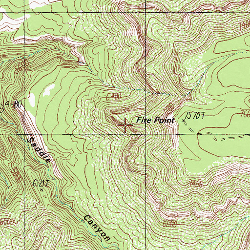 Topographic Map of Fire Point, AZ