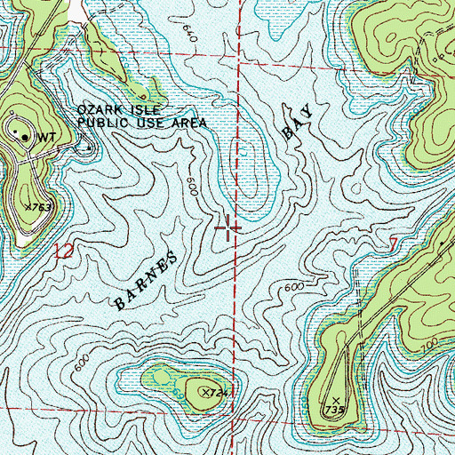 Topographic Map of Barnes Bay, AR