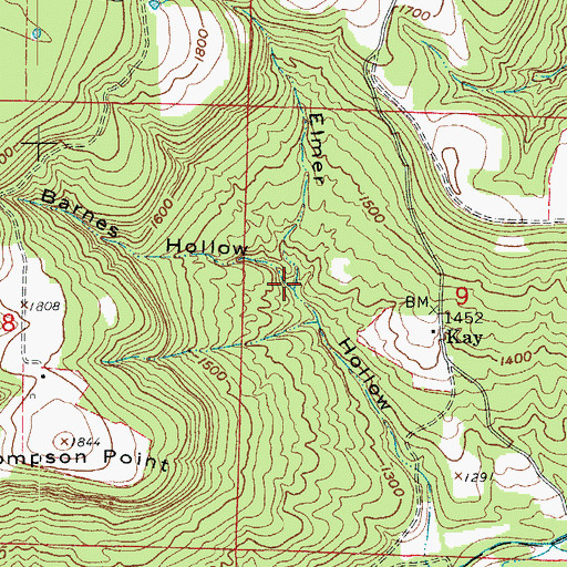 Topographic Map of Barnes Hollow, AR