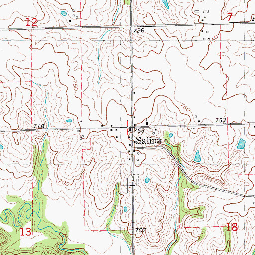 Topographic Map of Salina, IA