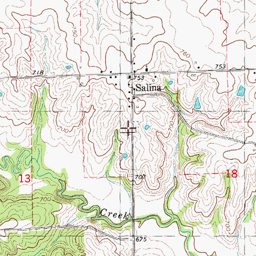 Topographic Map of Salina Cemetery, IA
