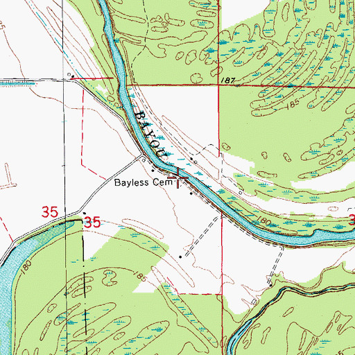 Topographic Map of Bayless Cemetery, AR
