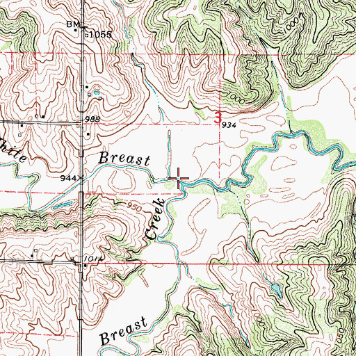 Topographic Map of South White Breast Creek, IA