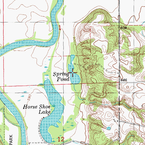 Topographic Map of Spring Pond, IA
