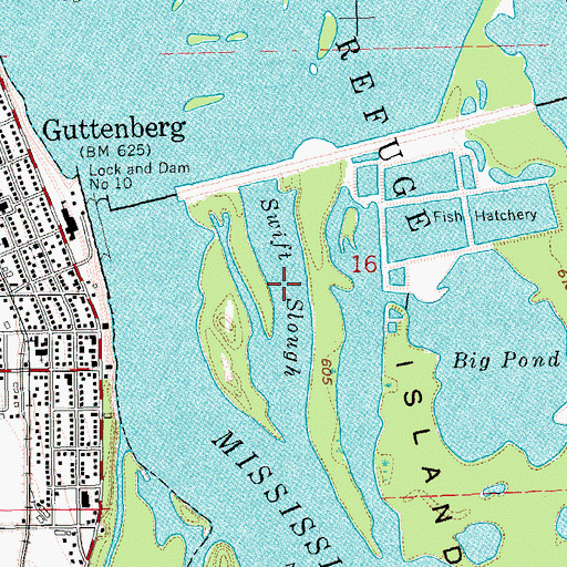 Topographic Map of Swift Slough, IA