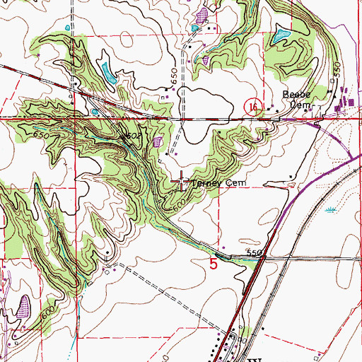 Topographic Map of Terney Cemetery, IA