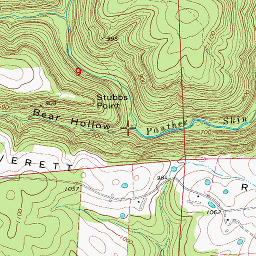 Topographic Map of Bear Hollow, AR