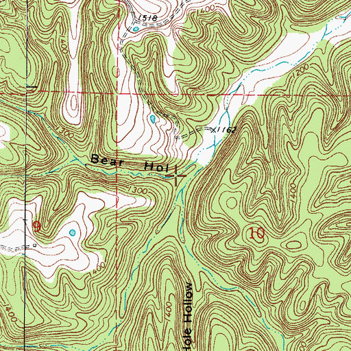 Topographic Map of Bear Hollow, AR