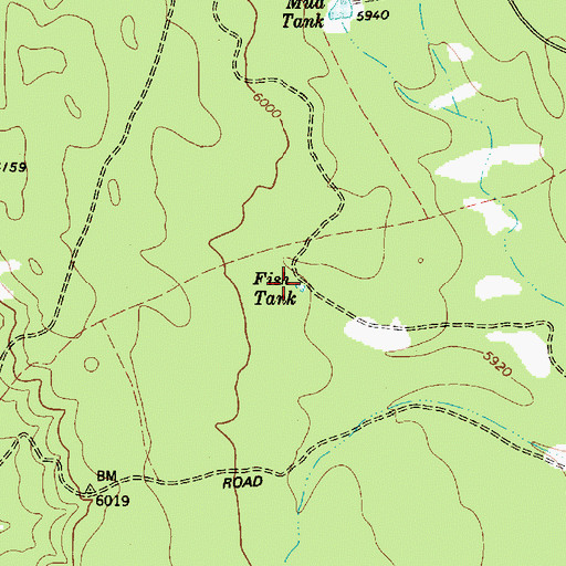 Topographic Map of Fish Tank, AZ