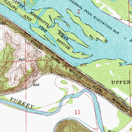 Topographic Map of Turkey River Mounds State Monument, IA