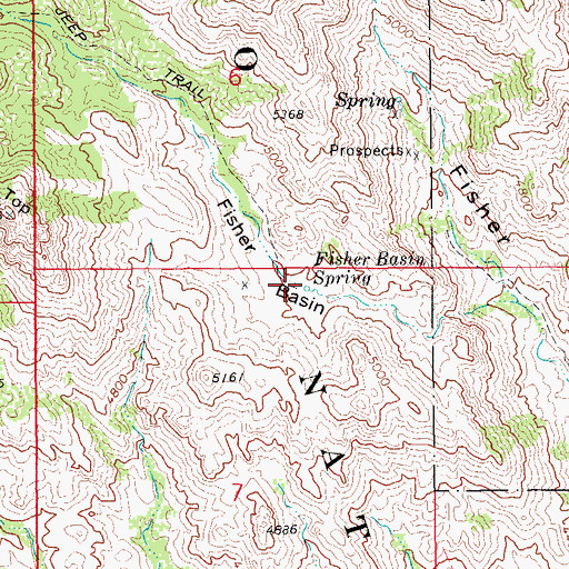 Topographic Map of Fisher Basin Spring, AZ