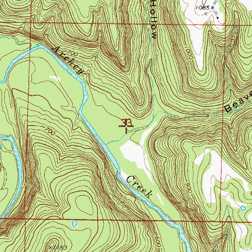 Topographic Map of Beavers Hollow, AR