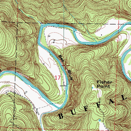 Topographic Map of Bee Bluff, AR