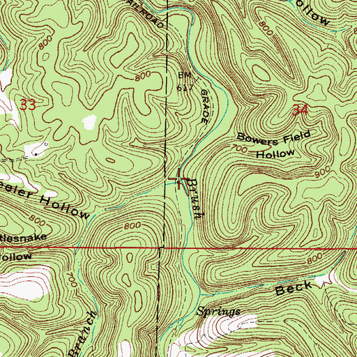 Topographic Map of Bee Branch, AR