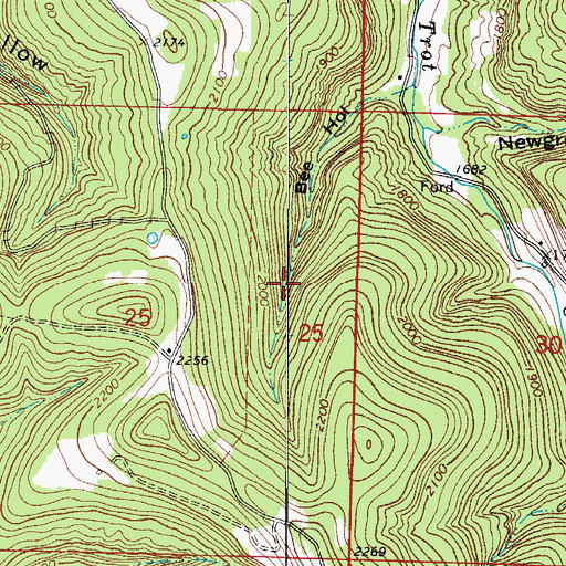 Topographic Map of Bee Hollow, AR