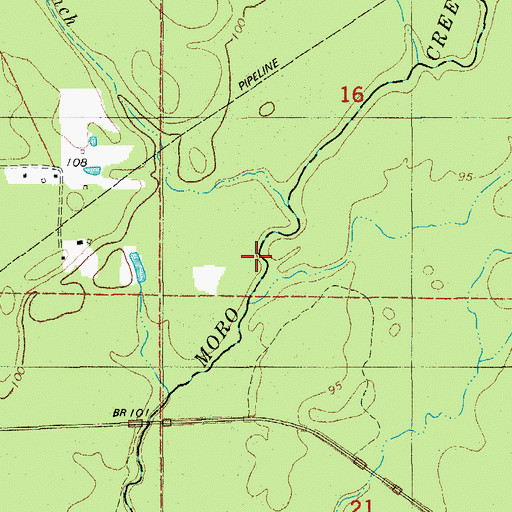 Topographic Map of Beech Branch, AR