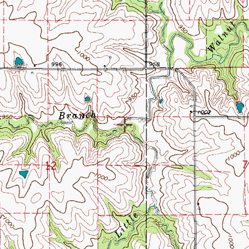 Topographic Map of Wolf Branch, IA