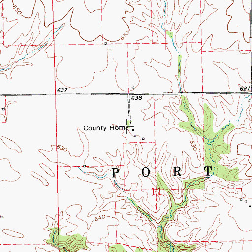 Topographic Map of Louisa County Home, IA