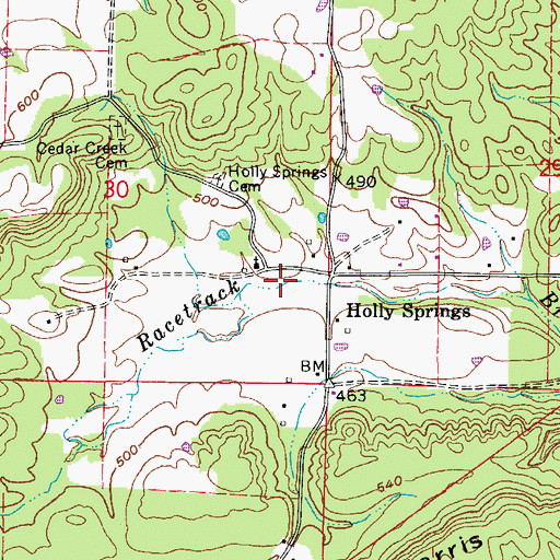 Topographic Map of Berry Hollow, AR
