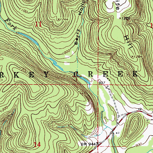 Topographic Map of Berry Hollow, AR