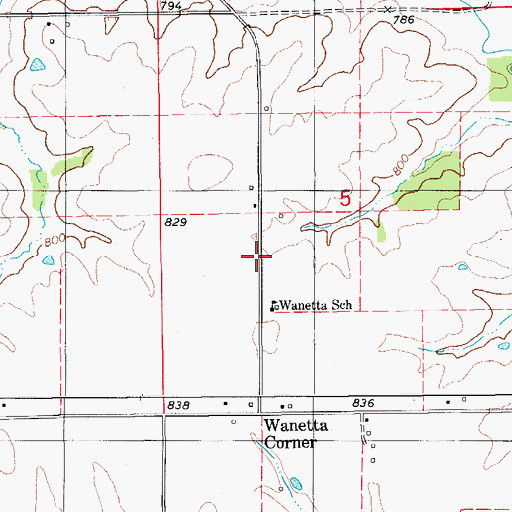 Topographic Map of Waneta, IA