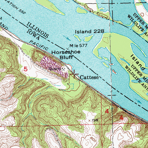 Topographic Map of Cattese, IA