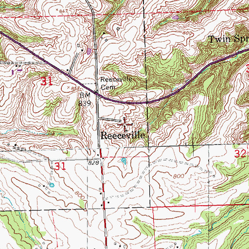 Topographic Map of Reeceville, IA