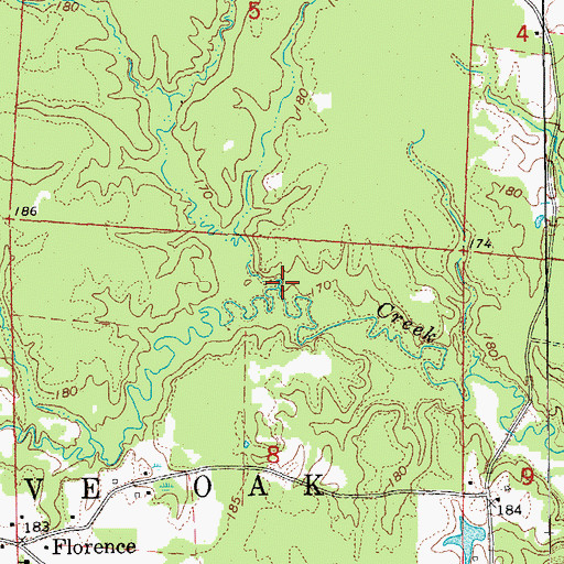 Topographic Map of Big Branch, AR