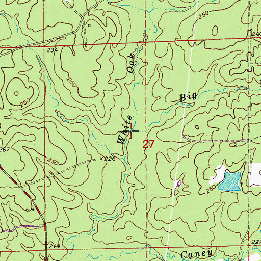Topographic Map of Big Branch, AR