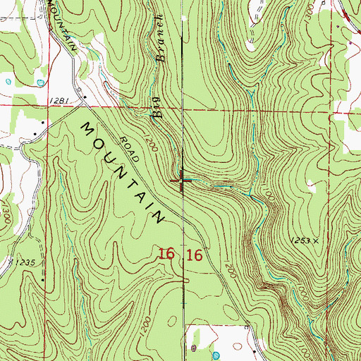 Topographic Map of Big Branch, AR