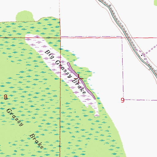 Topographic Map of Big Grassy Brake, AR