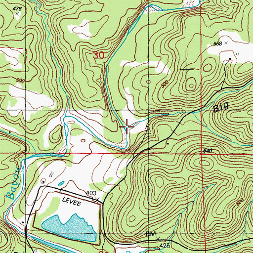 Topographic Map of Big Hollow, AR